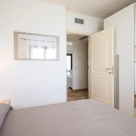Myrsine 13-6 - Klodge Olbia